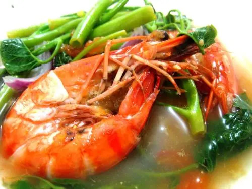 The Nest - Galle