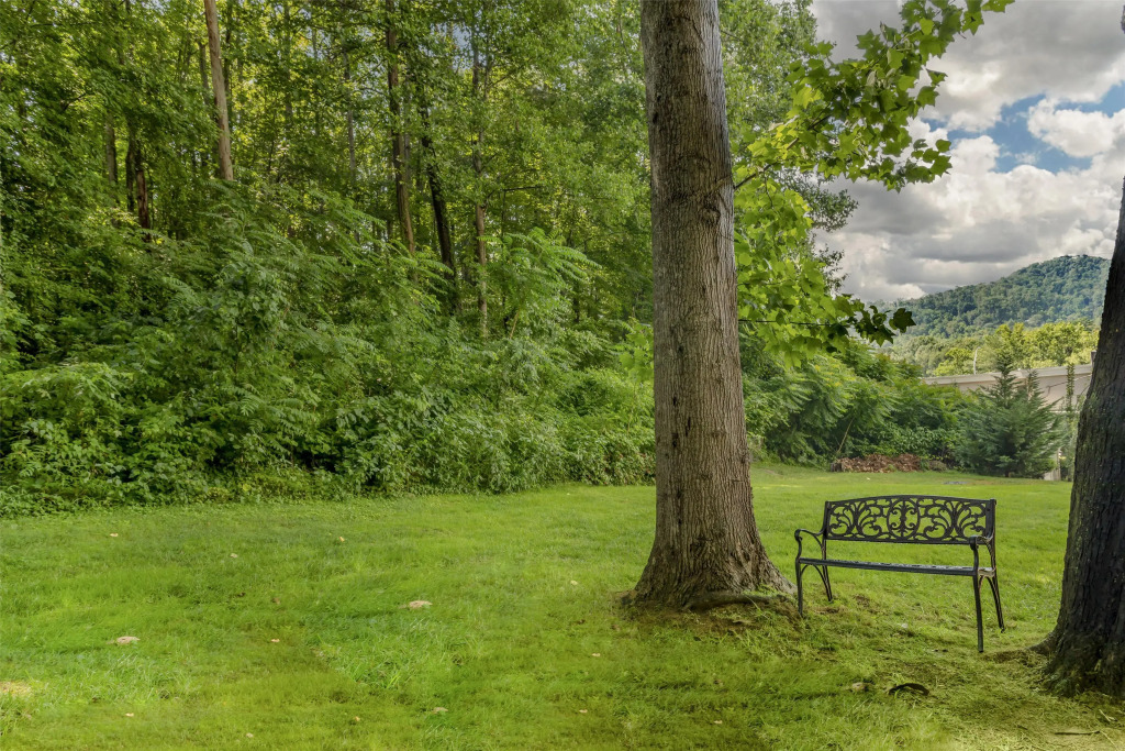 Best Western Asheville-Blue Ridge Parkway