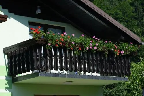 Zeleni apartma Zreče