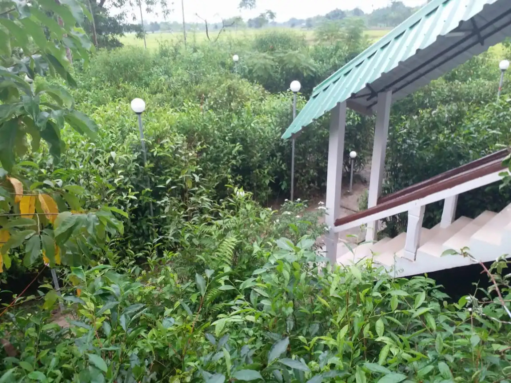 Homocation Changghar Kaziranga