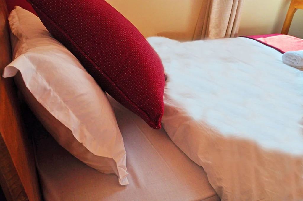 Hotel Love and Light