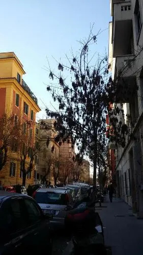 Alis Laura Guest House - 10 mins to Colosseum, Modern & Near Metro