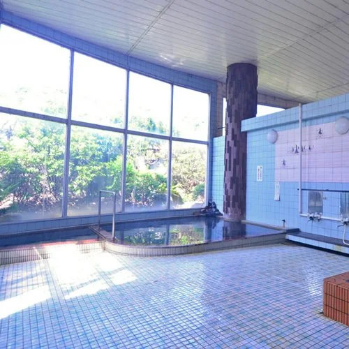 Shinyu Onsen Ryokan
