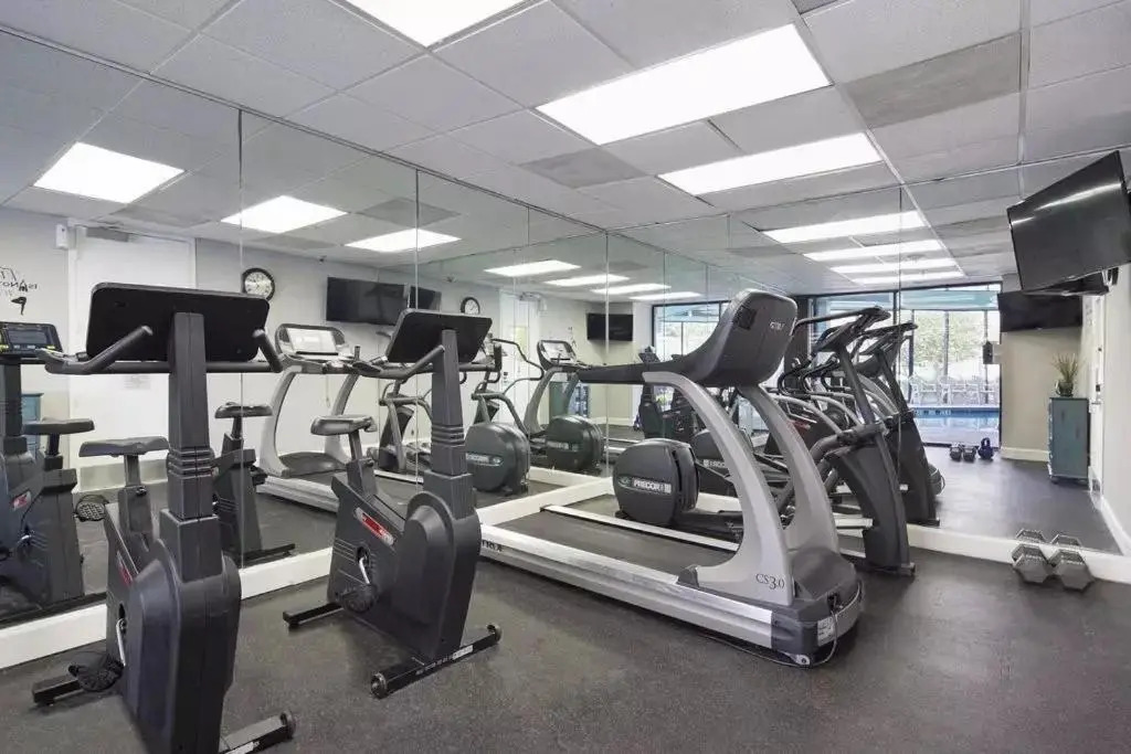 Enclave Apartments at International Drive