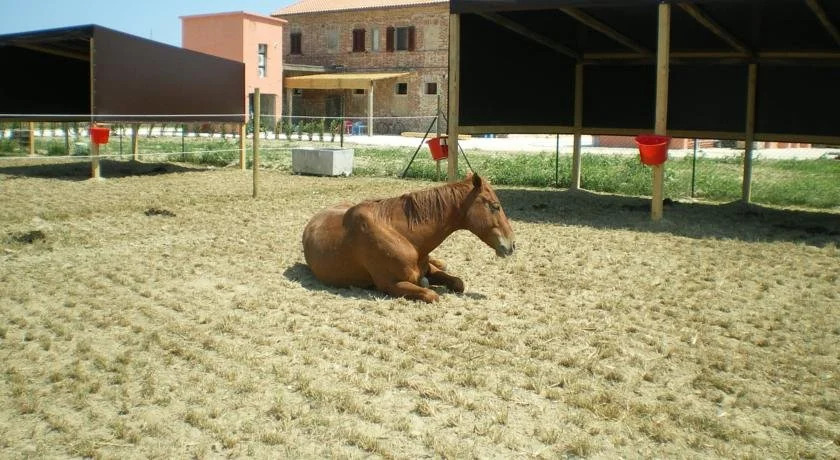 Conero Ranch