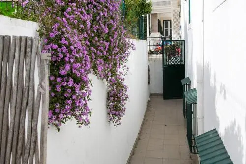 Dalma Flats - Garden