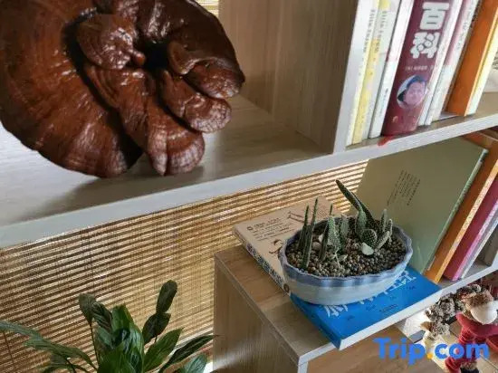 Shanghai Guixin Xiaozhu Homestay