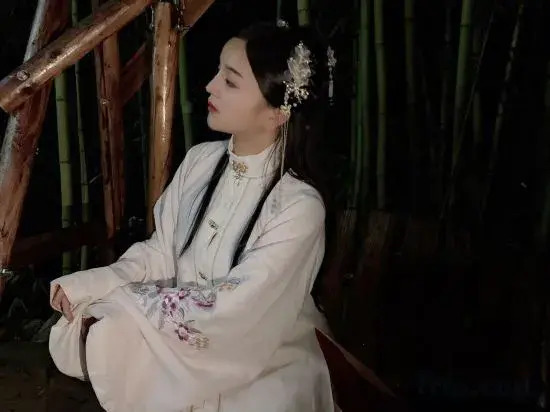 Longhushan Shanyeyouju Inn