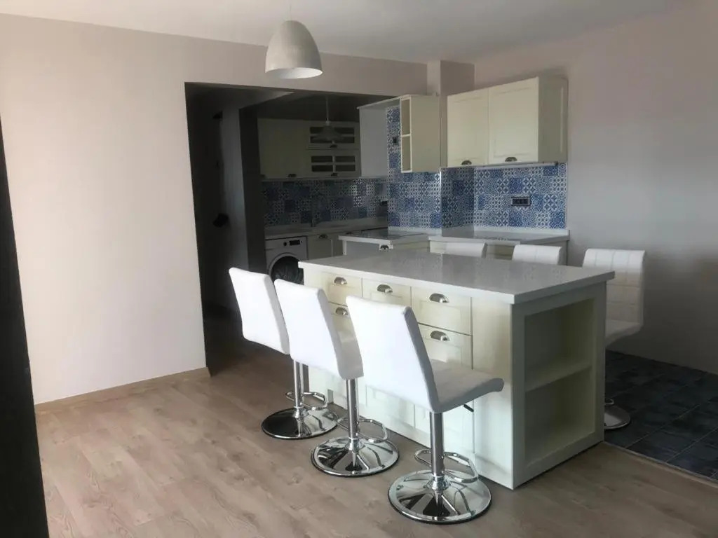 Luxury brand new terrace apartment in down town.