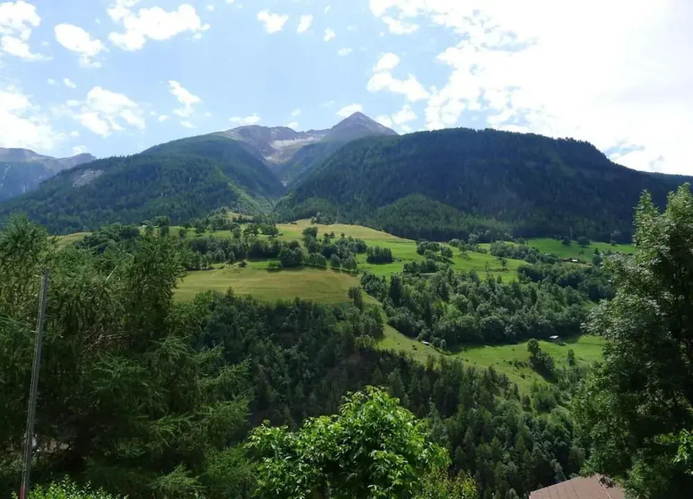 Cozy Stay Near Aletsch