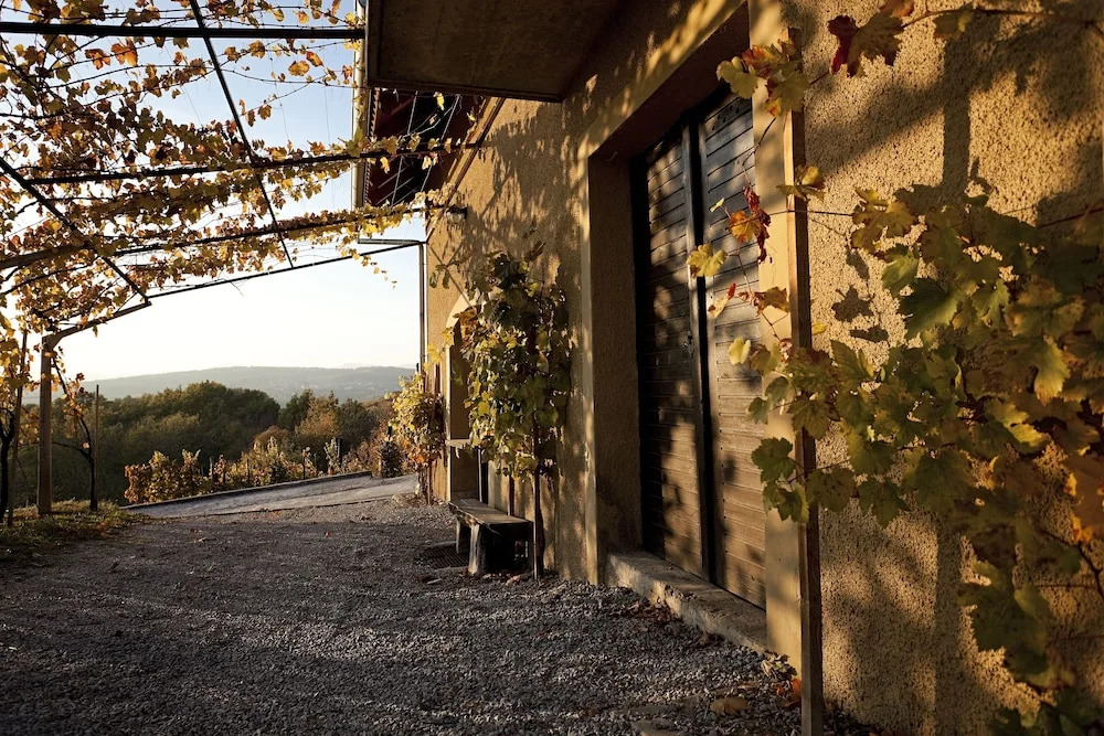 Vineyard Cottage Brodaric