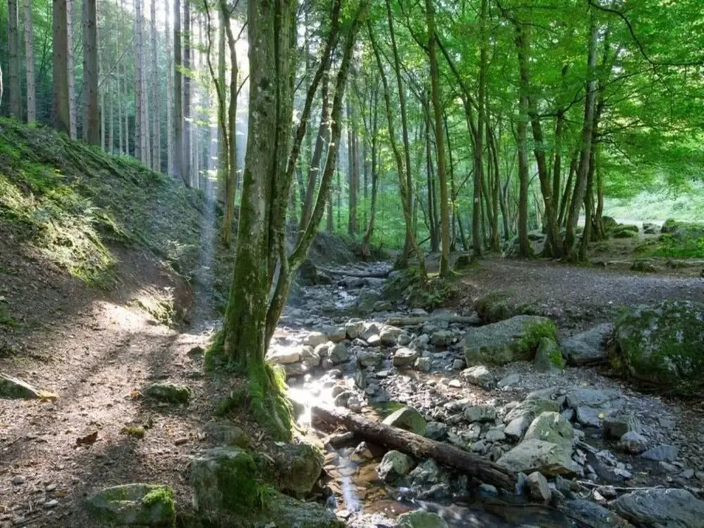 Scenic Glamping in Ardennes