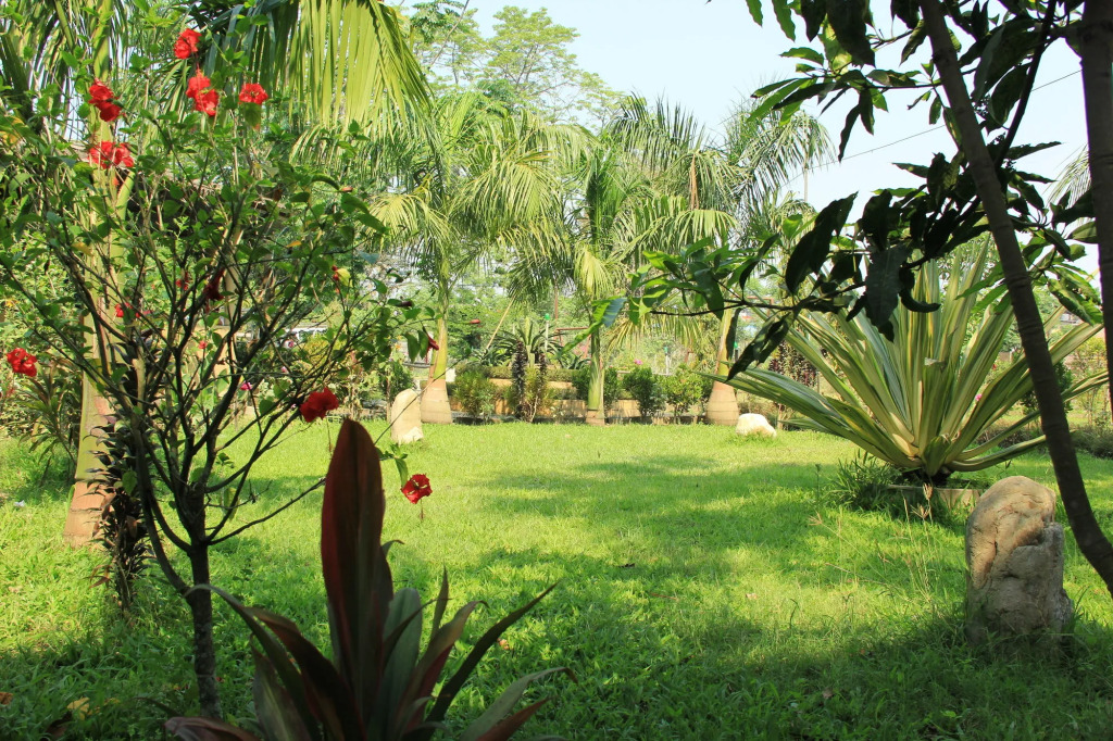 Chitwan Safari Resort