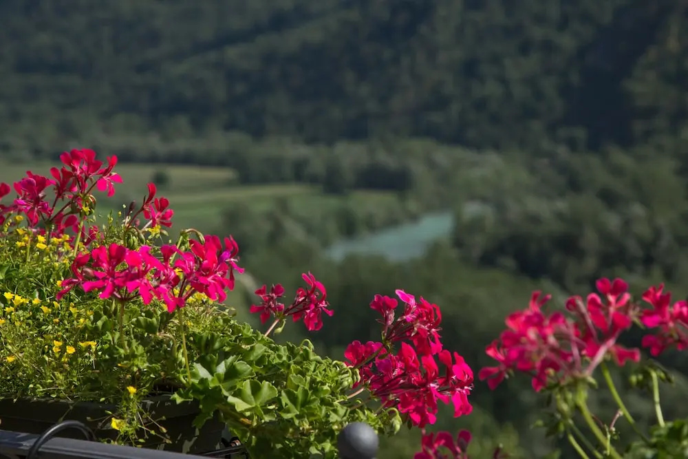 B&B Ca La Vedescia