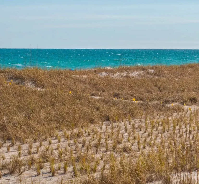 The Caroline by Topsail Realty