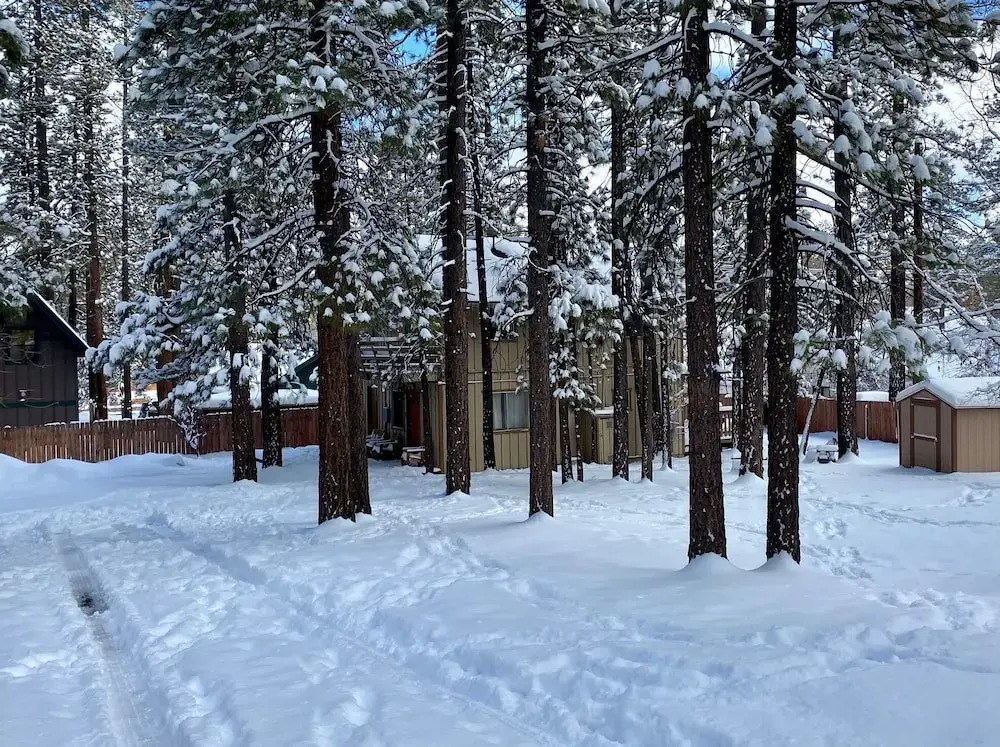 Rincon Cabin