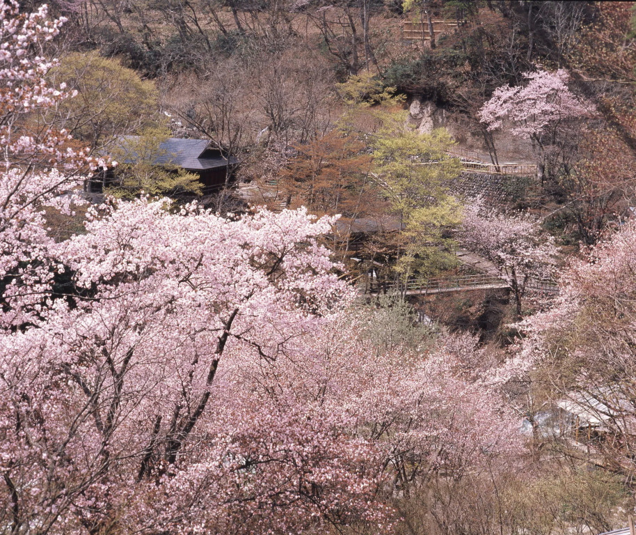 Takaragawa Onsen Ousenkaku