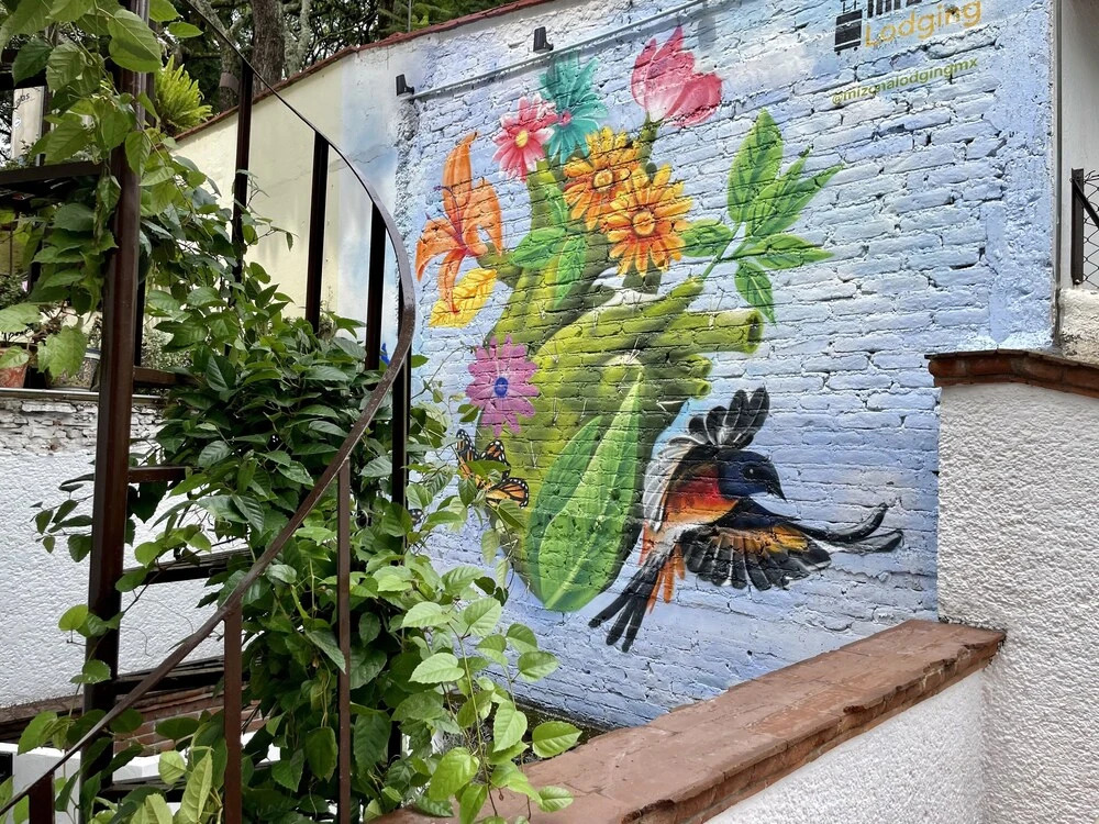 Mi Zona Lodging Coyoacán