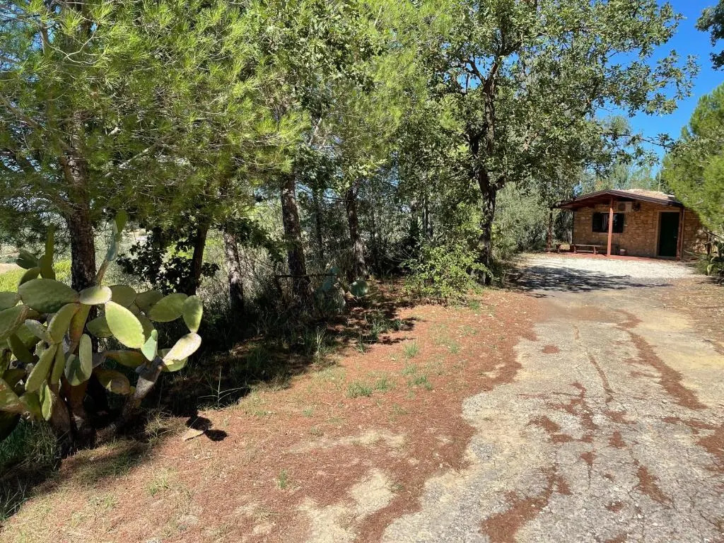Wonderful house in the heart of Sicily