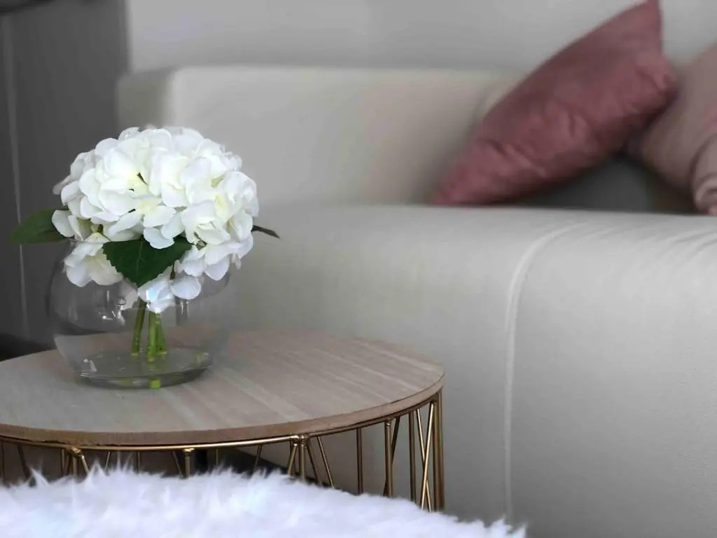 Luxury suites