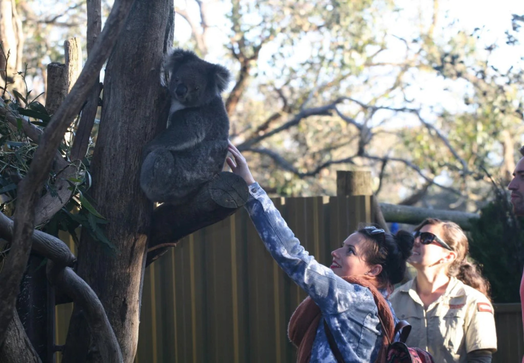 Kangaroo Island Backpackers