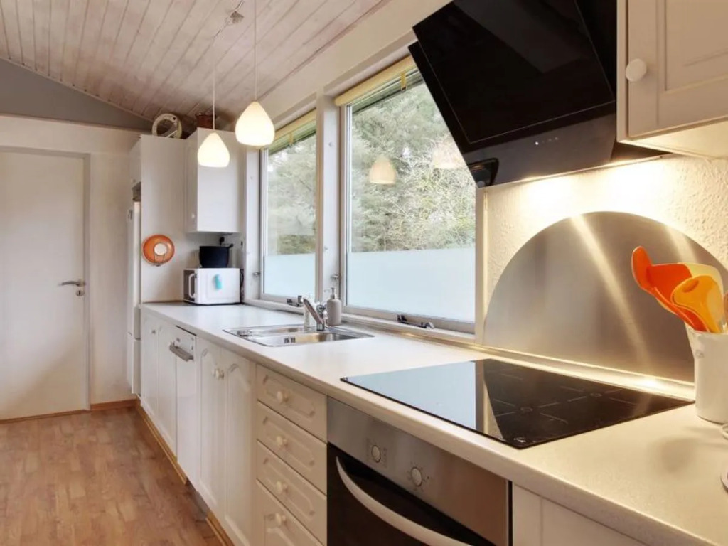 "Dijana" - 650m from the sea in NW Jutland