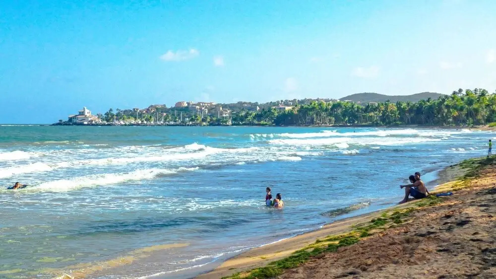La Palmita