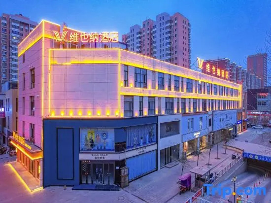 Vienna Hotel (Shizuishan Dawukou)