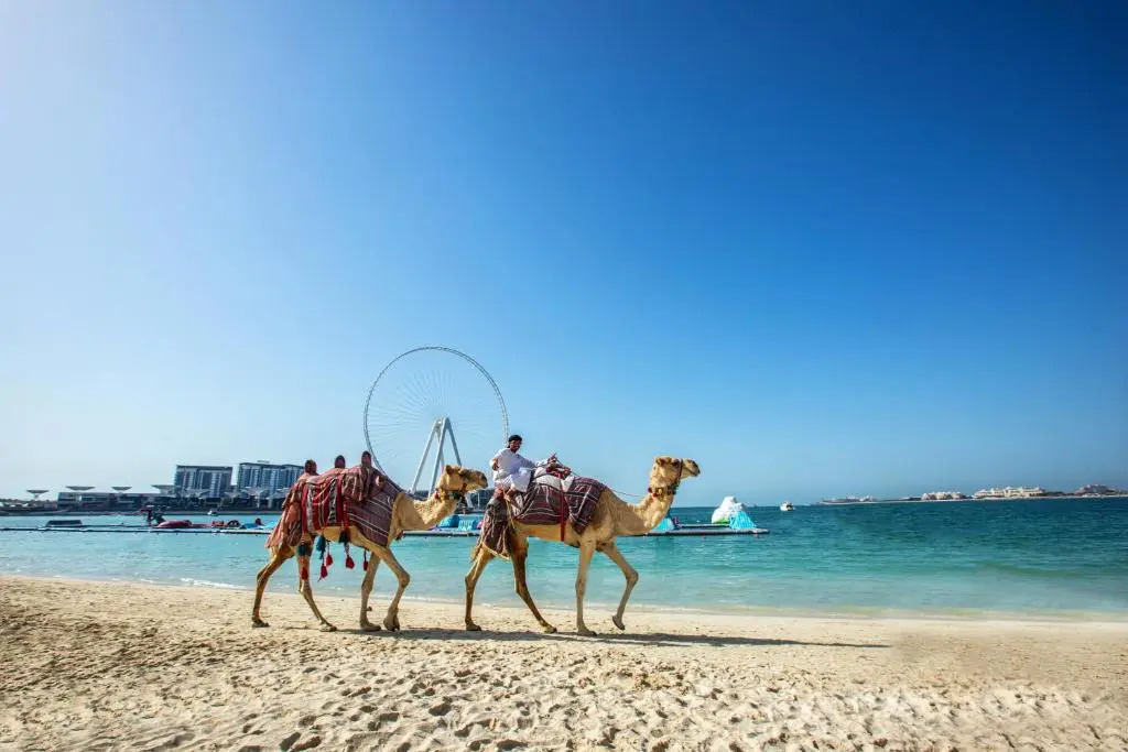 Apricus Holiday Homes -JBR Rimal 2BD in front of The Beach