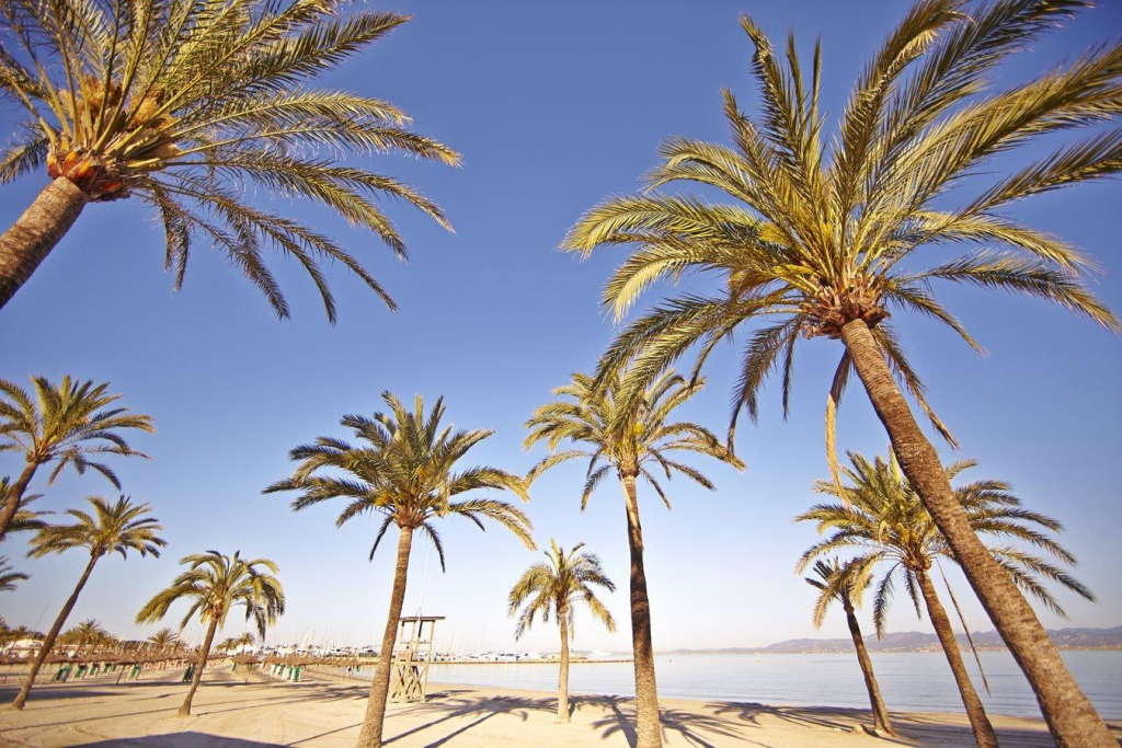 MLL Caribbean Bay