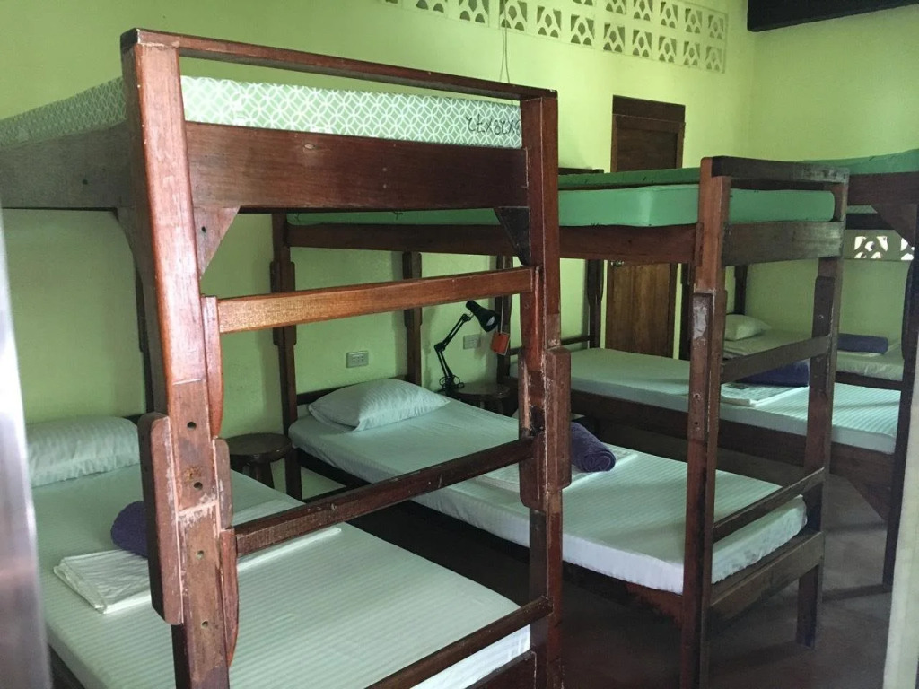Elternative Hostel