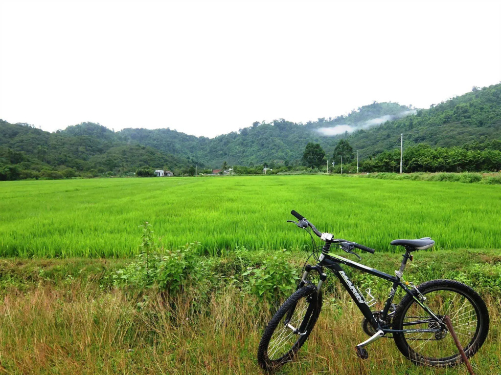 Cat Tien Farm Stay