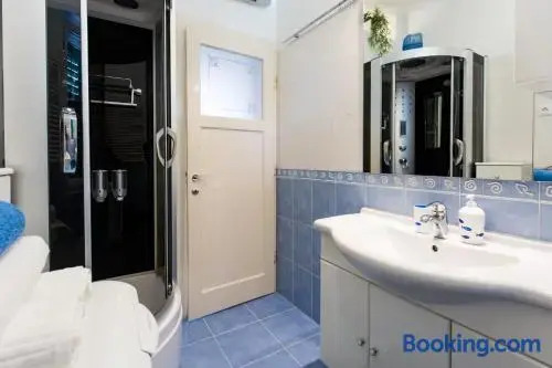 Spacious Apartment Center