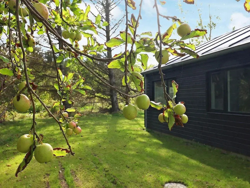 6 person holiday home in Hjørring-By Traum