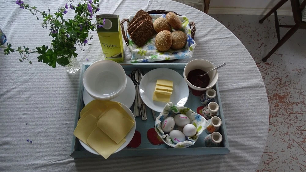 Camønogaarden B&B, darksky cabins and events