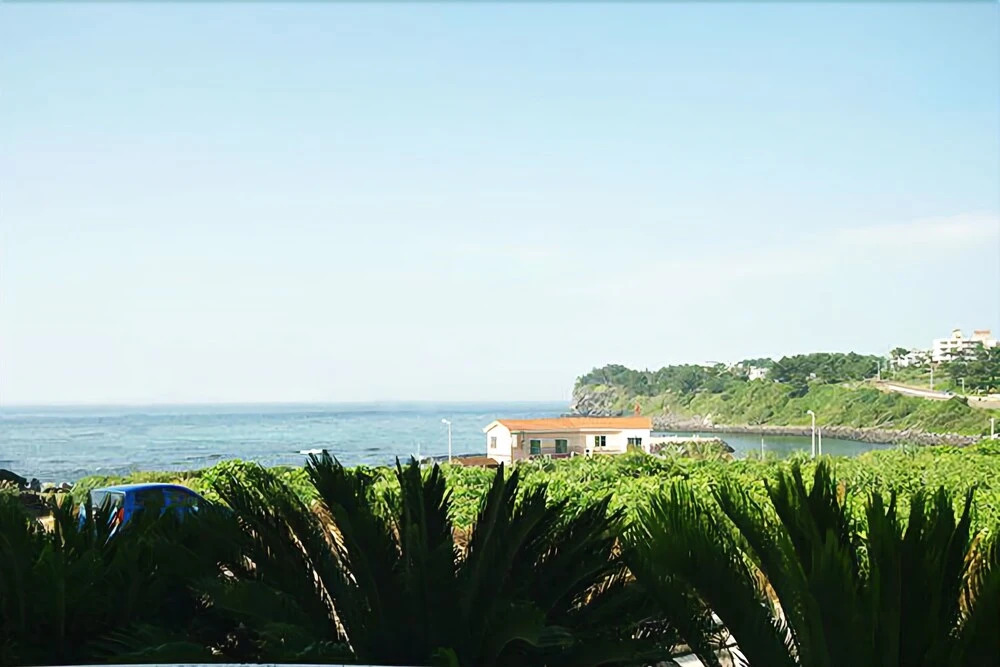 Jeju Beach Pension