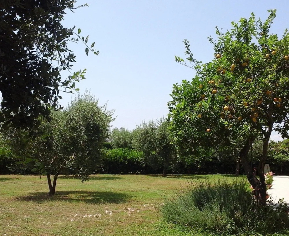 O Chalet