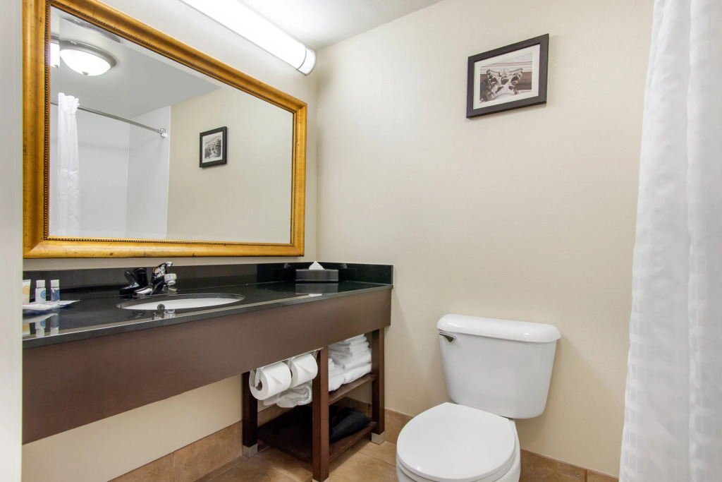 Comfort Suites McAlester