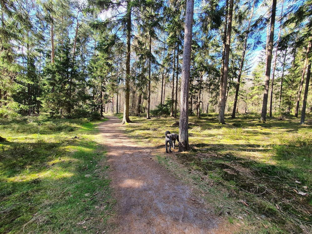 FeWo-Schuberski