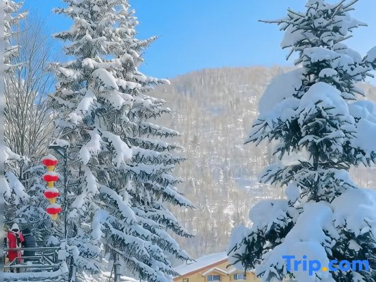 Snow Valley · Ruixue Snow · Winter Moon Painting Manga Travel Beauty Stay