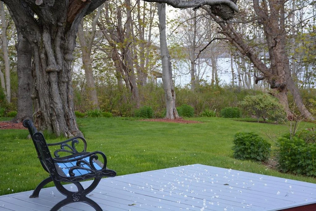 Rose Manor Inn B & B