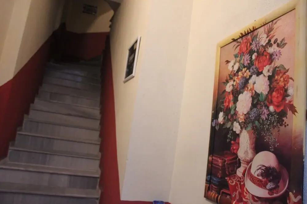 Efe Can Apart Otel