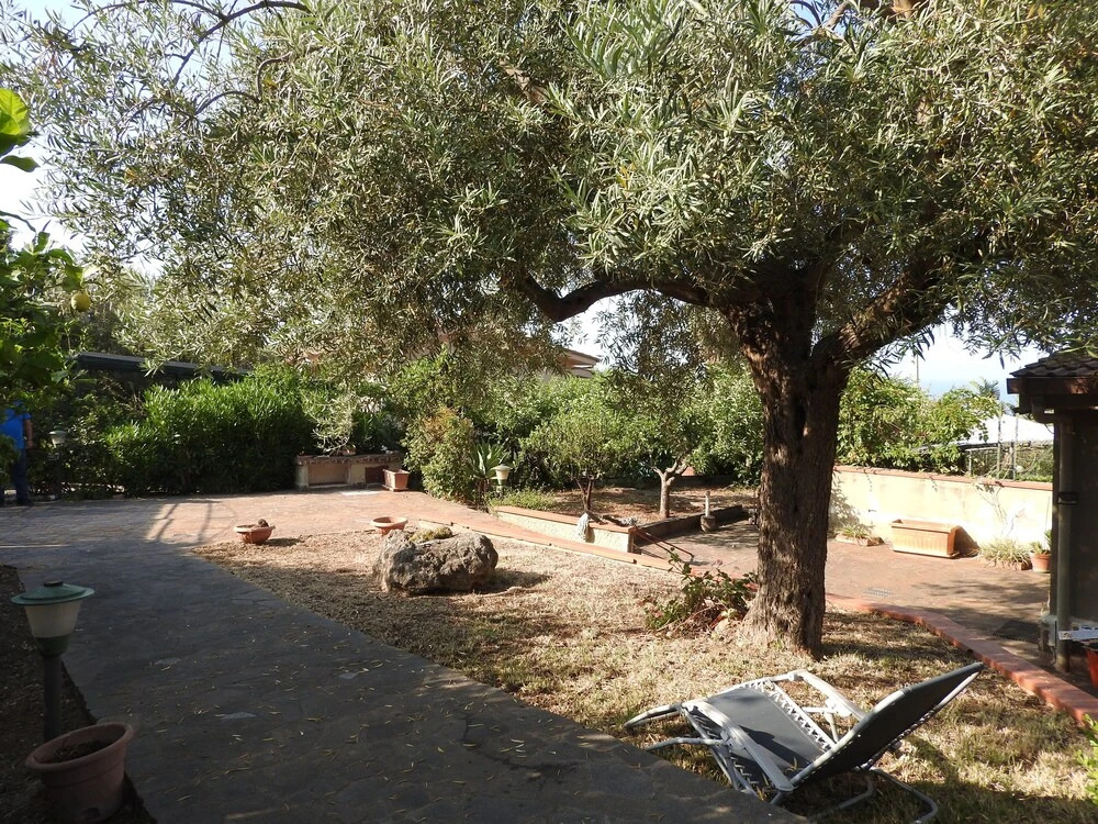 Terrazza Golden Hill