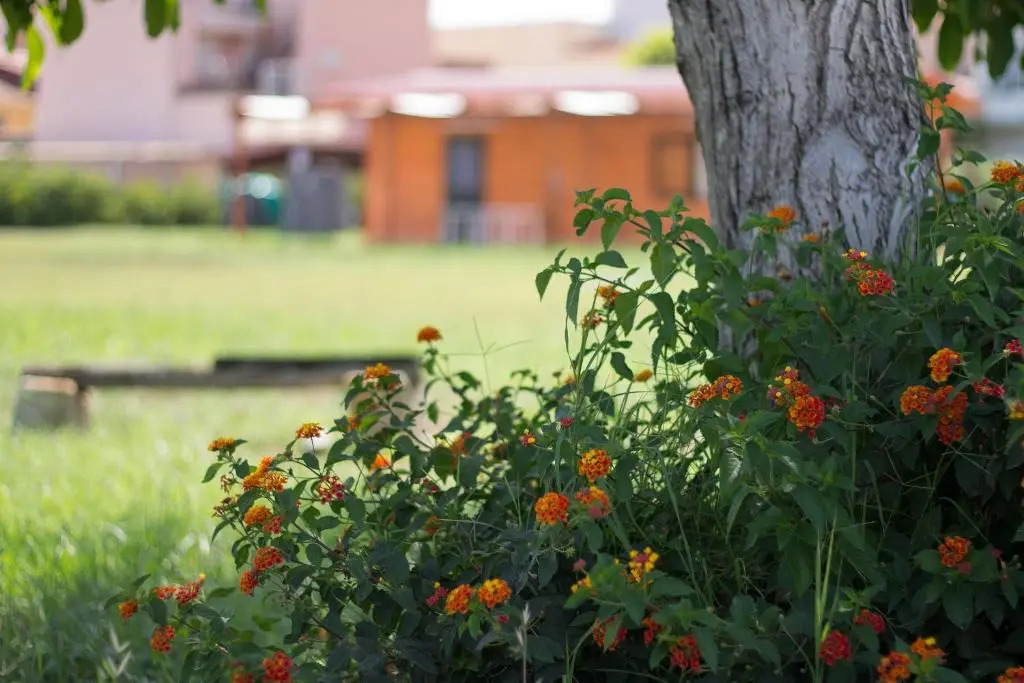 Agriturismo Il Gelsomino Ritrovato