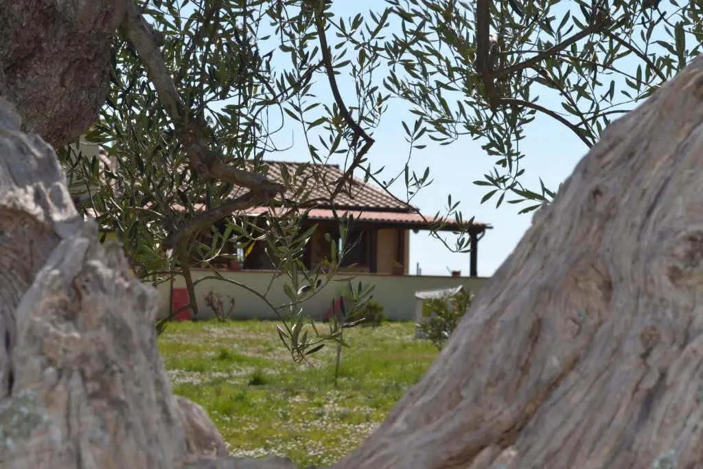 Podere dei maddii
