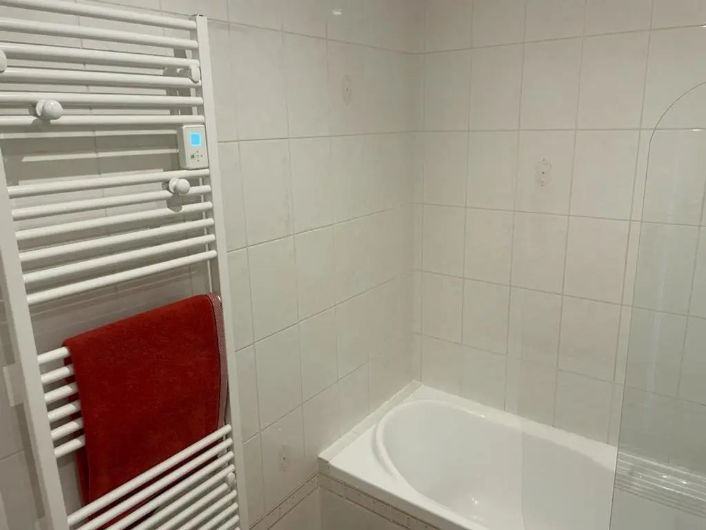 Studio Aix-les-Bains, 1 pièce, 2 personnes - FR-1-617-43
