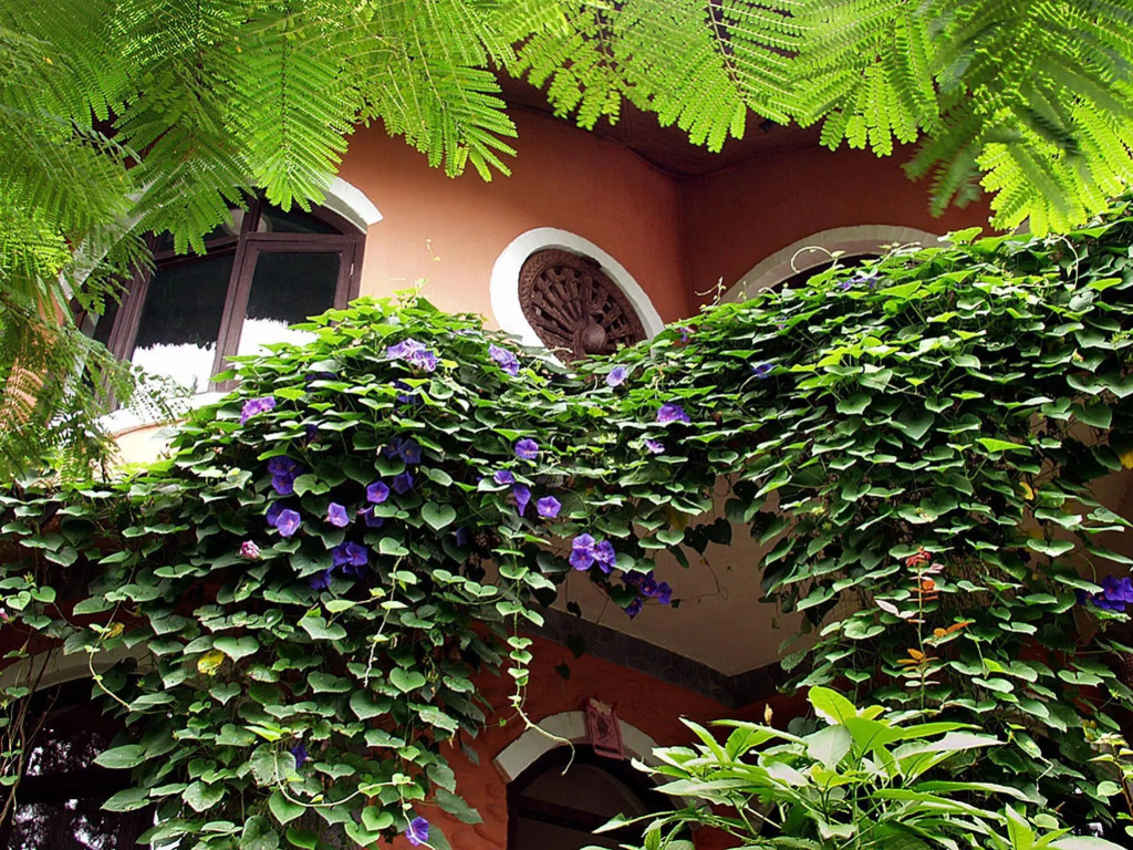 Anadu House