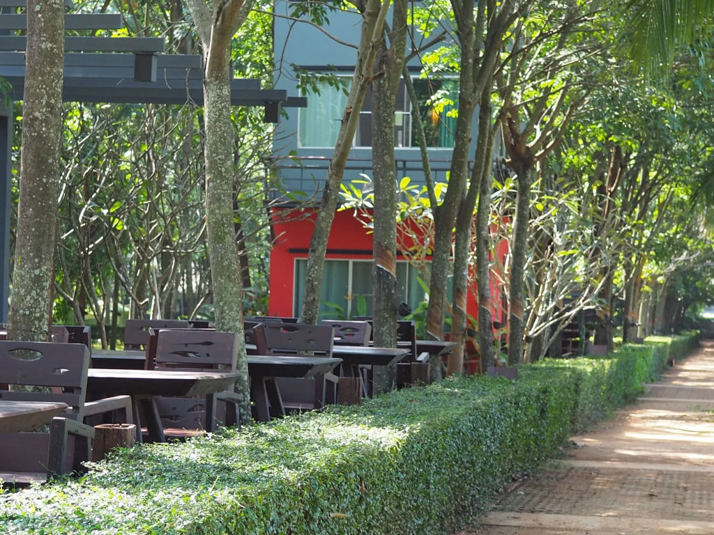 Singha Rubber Tree Kanchanaburi