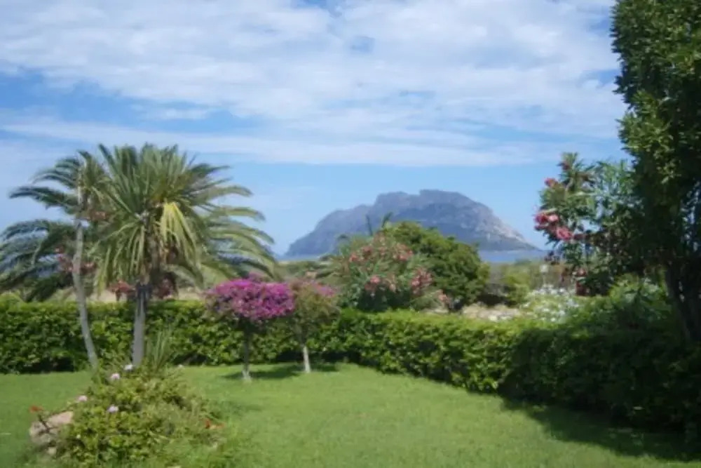 I Fari D201 600m From The Beach