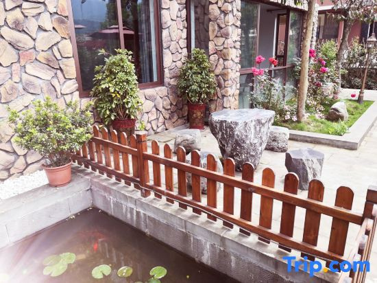 Mount Emei Memory of Emei